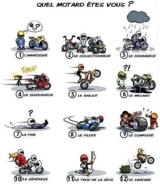 Quel genre de motard êtes vous ? Quel_m10