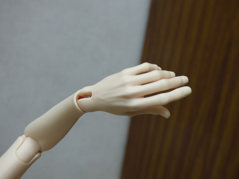 THIBA'S BJD : Yumi Raccoon Doll MSD Limited (p. 40) - Page 5 008_dz10