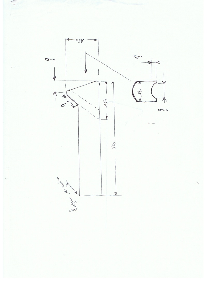 identification paloma 001_bm11