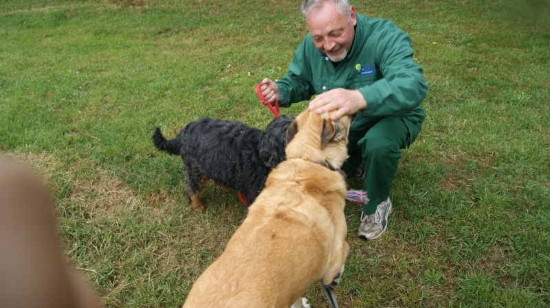 SAMm, X griffon  male 5 ans abandon  de Béthune (62) - en FA pour l'asso Les Gamelles Solidaires 02-80 Dsc01710