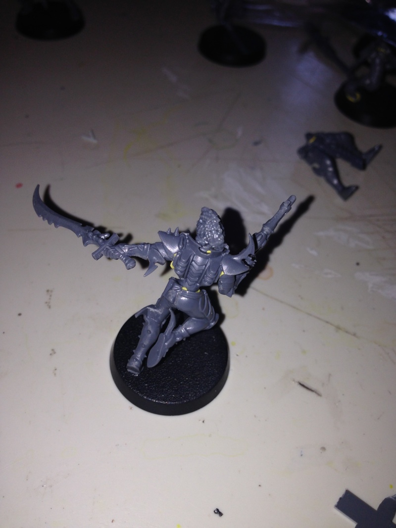 Dark Eldar Aspect Warriors Image610