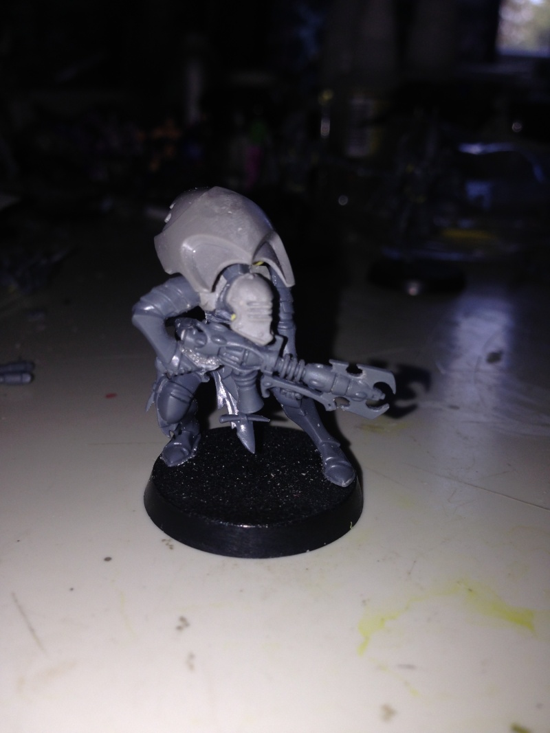 Dark Eldar Aspect Warriors Image711