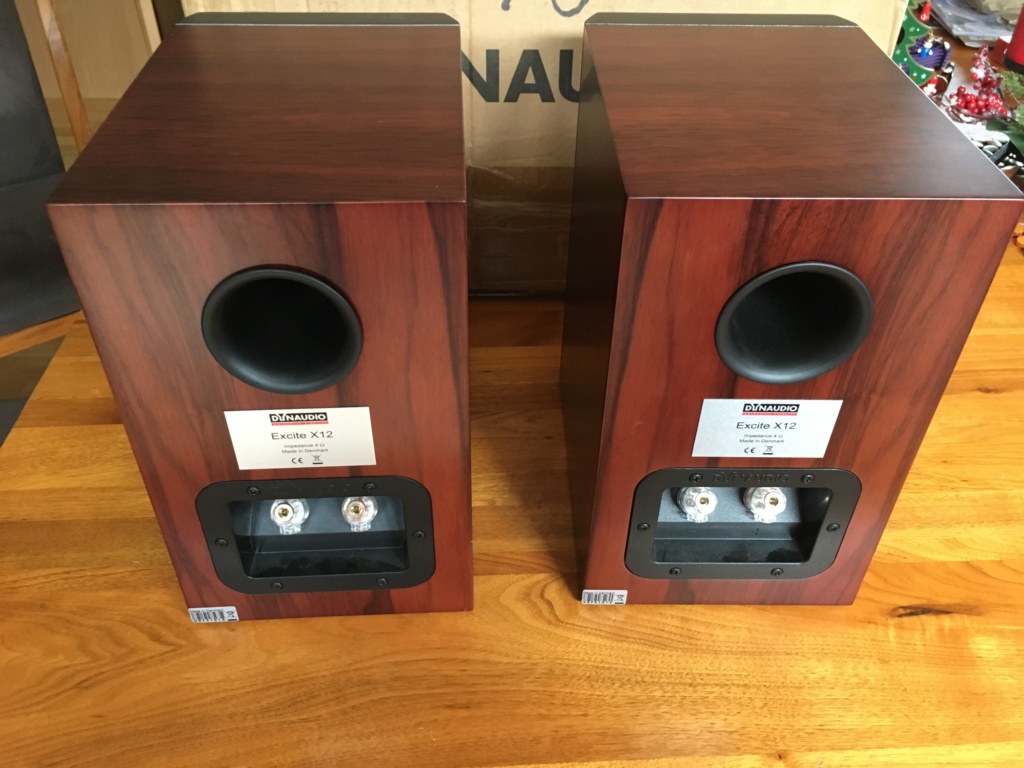 Dyaudio Excite X12 Speaker Dyn10