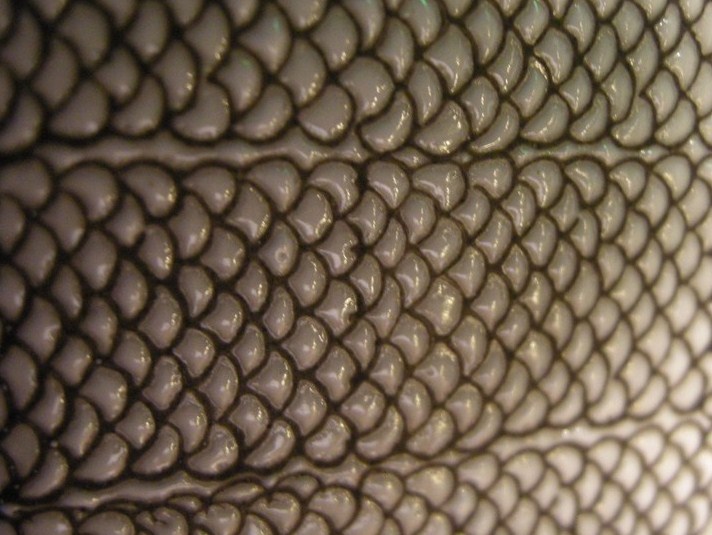 émaillage décor peau de serpent Dscn6413
