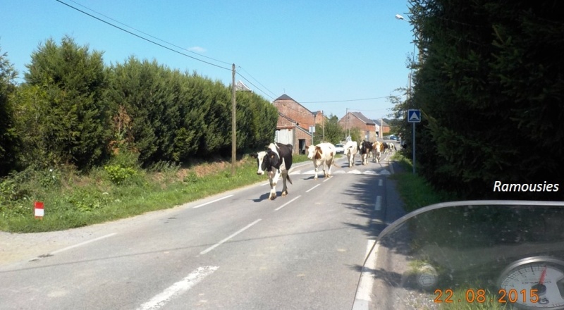 Sortie du 22/8/15 pour se parfumer au Maroilles ! Dscn1468