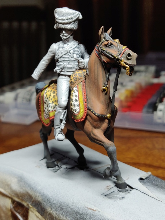 Colonel de hussards 1809, Metal Modeles Img_2020
