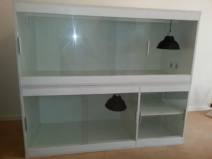 Le best terrarium 17796710