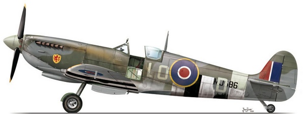 Spitfire Mk.IXc Late Version Eduard 1/48 Tc153610