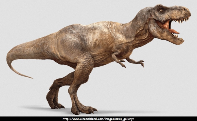 Tyrannosaurus rex Tamiya 1/35 (fini) _1425210