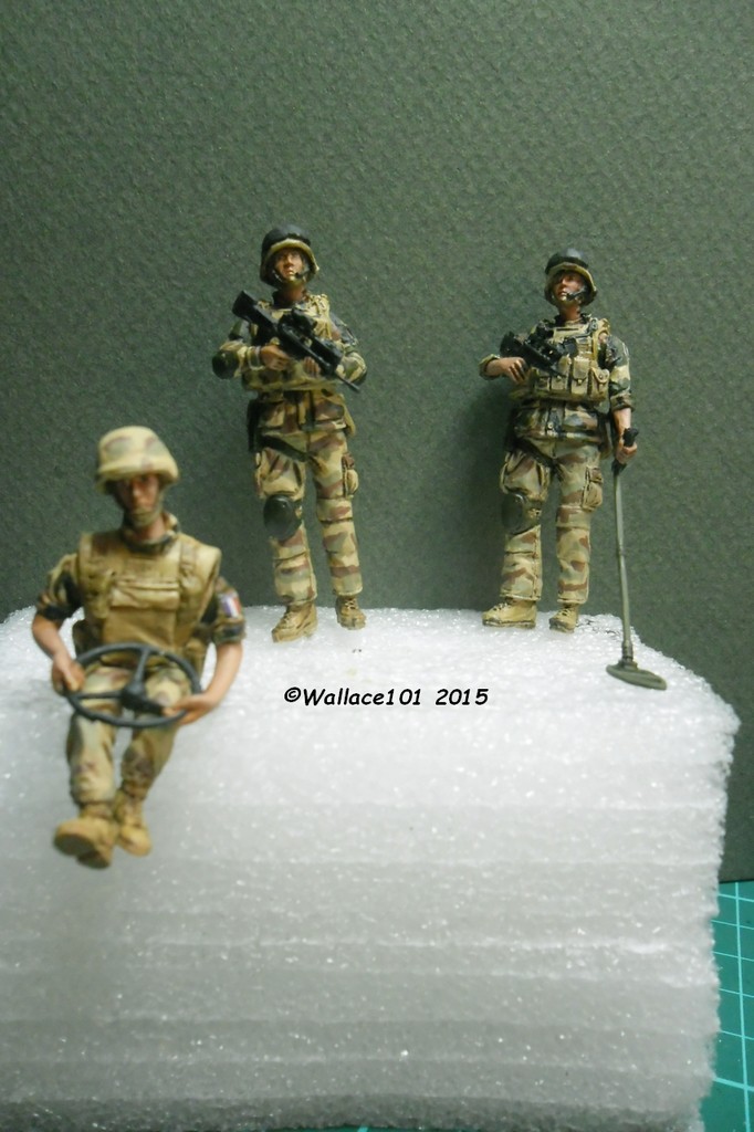 Opération "Serval" figurines Blast Model  Décals FFMSC Prod. 1/35 (trio terminé)  - Page 6 Sam_5017