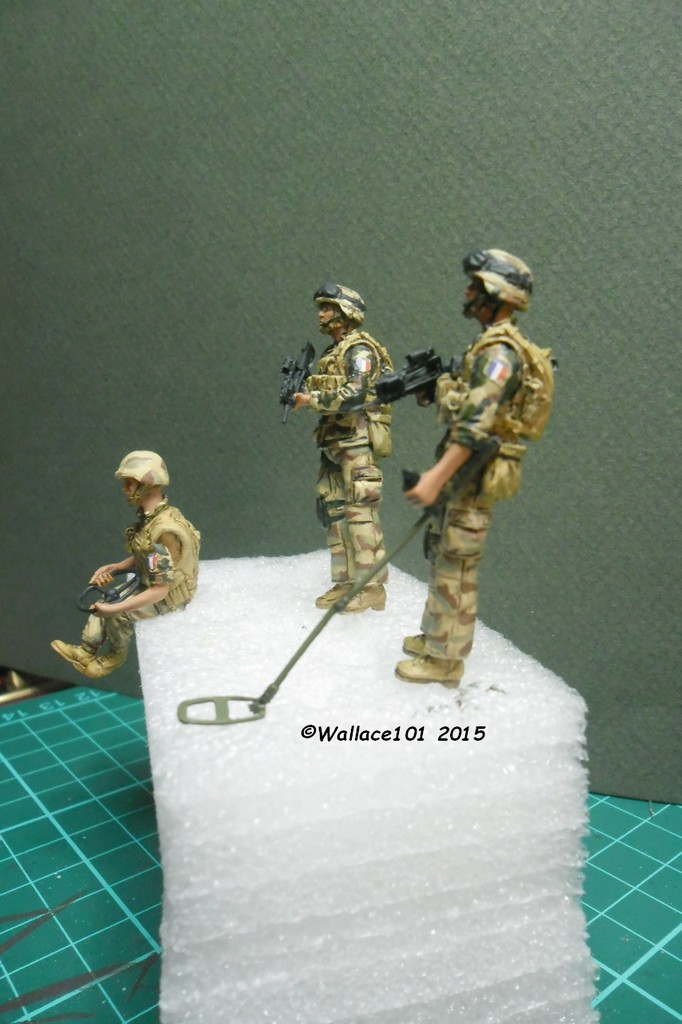 Opération "Serval" figurines Blast Model  Décals FFMSC Prod. 1/35 (trio terminé)  - Page 6 Sam_5018