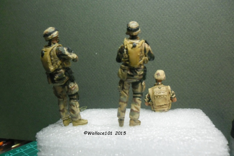 Opération "Serval" figurines Blast Model  Décals FFMSC Prod. 1/35 (trio terminé)  - Page 6 Sam_5019
