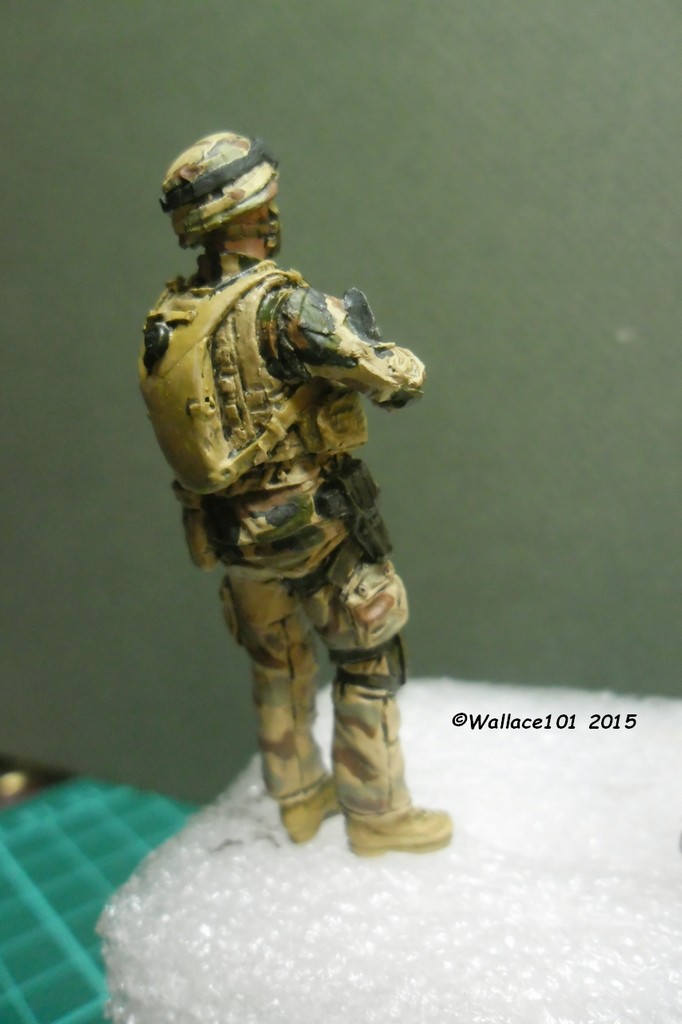 Opération "Serval" figurines Blast Model  Décals FFMSC Prod. 1/35 (trio terminé)  - Page 6 Sam_5020