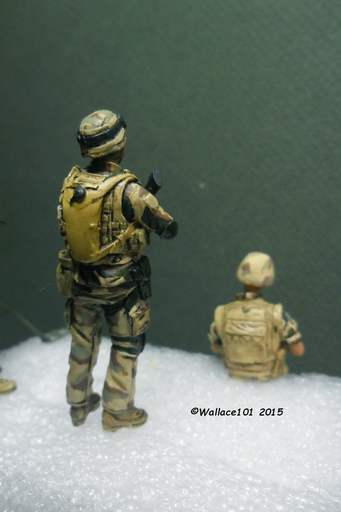 Opération "Serval" figurines Blast Model Décals FFMSC Prod. 1/35 (trio terminé) - Page 6 Sam_5021