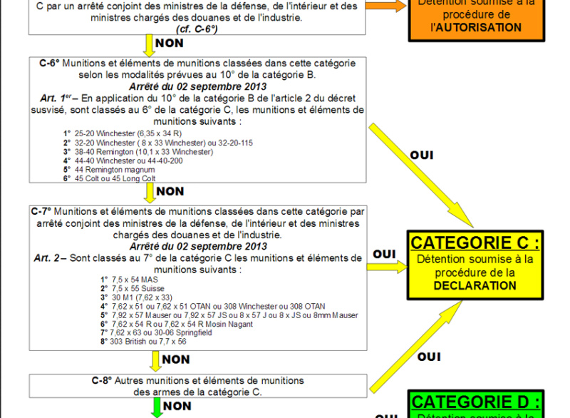 pistolet - Pistolet/revolver 22LR catégorie D ??? - Page 2 Sans_t20