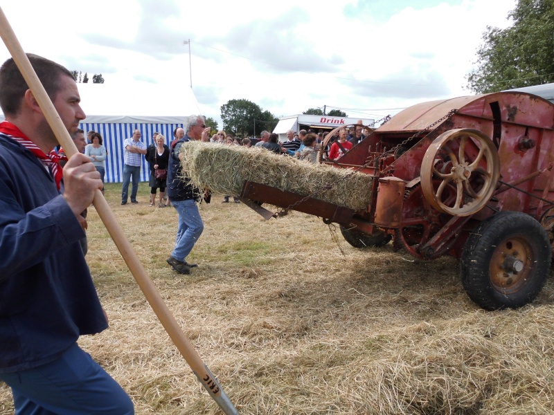 Fête de la fenaison à Montignies-Lez-Lens (Belgique) 2015 Dsci0189