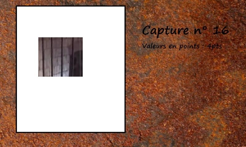 La capture d'image - Jeu à durée indéterminée - Page 5 Capt1610