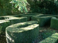 Marie-Antoinette au Château du Cambon Labyri10