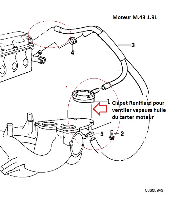 [ bmw e46 316i m43 an 2000 ] problème ralentit instable