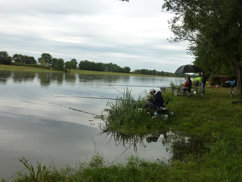 DIMANCHE 5 JUILLET 2015 / FROSSAY PARCOURS CARPE - Page 2 P1070511