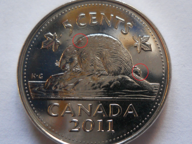 2011 - Dommage au Coin,Castor bossu, Éclat de Coin bûche & D de canaDa (Die Damage, Die Chip) Rscn0315