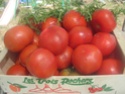 Sauce tomates et  sarriette.photos. Img_8182