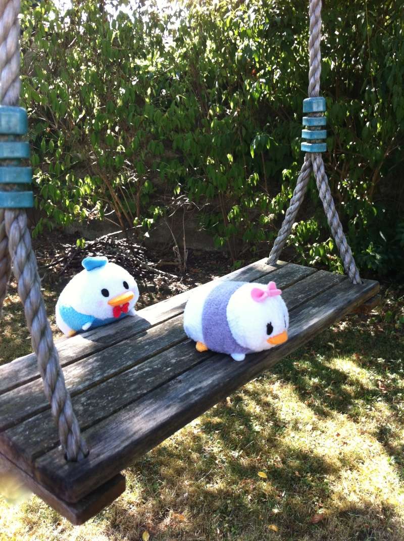 tsum - Concours : mettez en scène votre ou vos Tsum-Tsum ! ^^ - Page 11 Img_2113