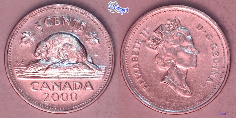 2000 - Éclat de Coin sur Nez de la Reine & Fendillement du Chrome 5_cen154