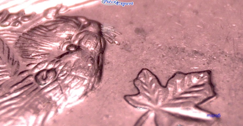 2000 - Éclat de Coin sur Nez de la Reine & Fendillement du Chrome 5_cen159