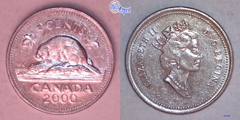 2000 - Éclat de Coin sur Nez de la Reine & Fendillement du Chrome 5_cen161
