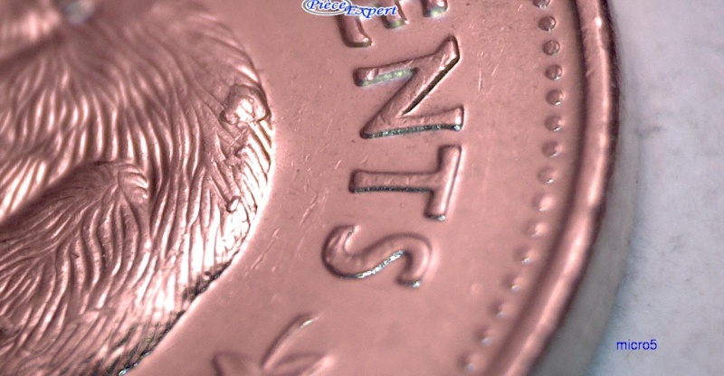 2000 - Éclat de Coin sur Dos du Castor 5_cen165