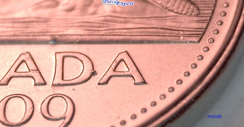 2009 - Éclat de Coin sur le D de canaDa (Die Chip) 5_cen177