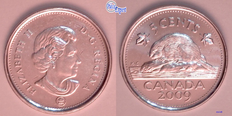 2009 - Éclat de Coin sur le D de canaDa (Die Chip) 5_cen181