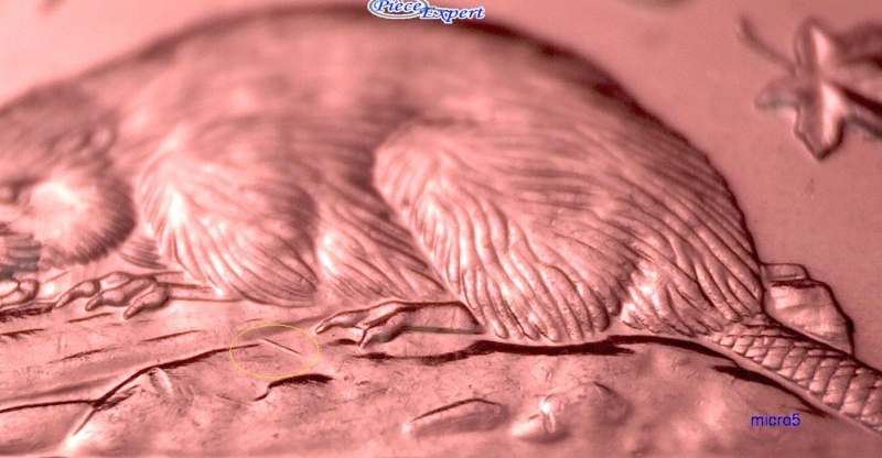 2010 - Dommage au Coin sur Bûche (Die Damage) 5_cen195