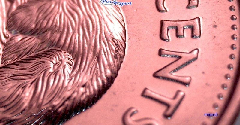 2008 - Éclat de Coin sur le Dos du Castor (Die Chip) 5_cent62