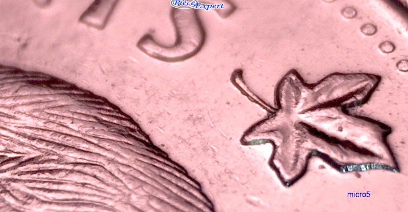 2009 - Éclat de Coin Progressif sur la Droite de la Bûche (Die Chip) Cpe_i127