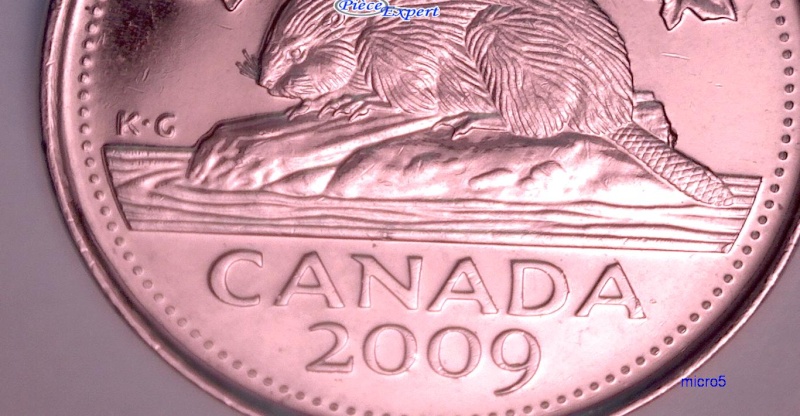 2009 - Éclat de Coin Progressif sur la Droite de la Bûche (Die Chip) Cpe_i132
