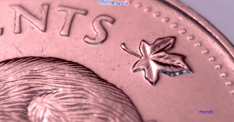 2009 - Éclat de Coin Progressif sur la Droite de la Bûche (Die Chip) Cpe_i134
