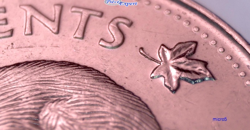 2009 - Éclat de Coin Progressif sur la Droite de la Bûche (Die Chip) Cpe_i135