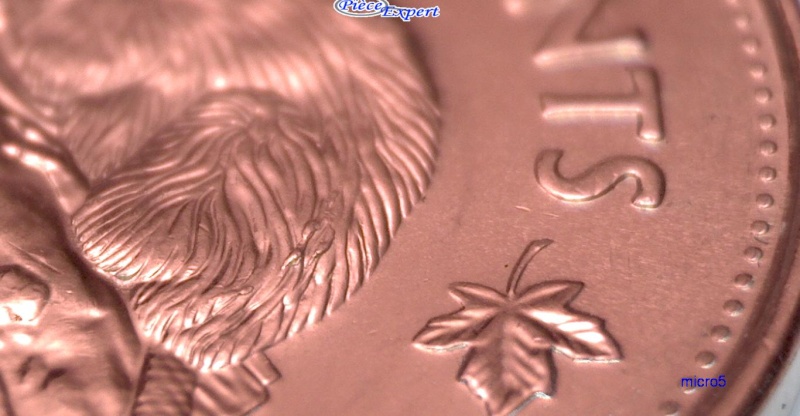 2008 - Éclat de Coin sur le Dos du Castor (Die Chip) Cpe_im67
