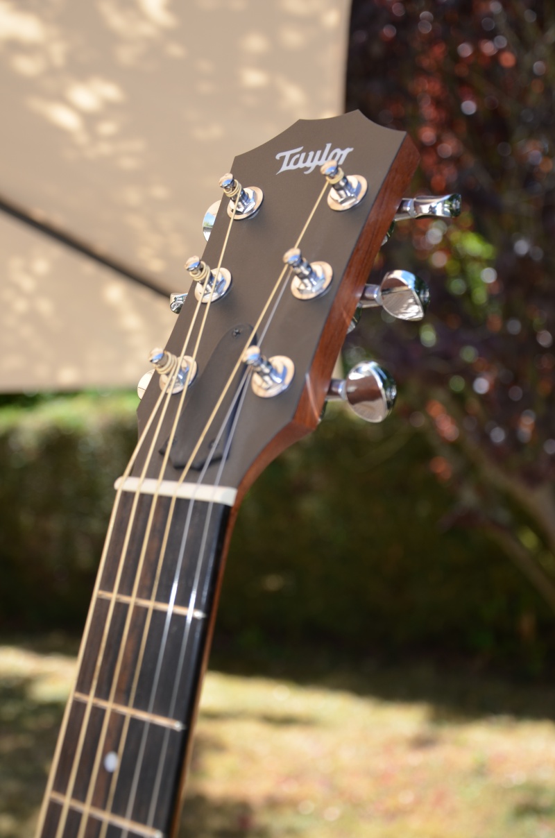 A vendre Taylor Mini GS VENDUE !!! Dsc_0912