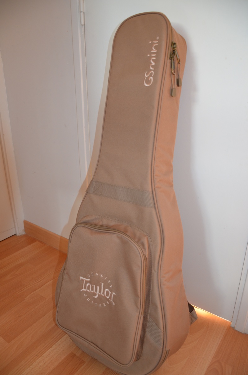 A vendre Taylor Mini GS VENDUE !!!  Dsc_0913