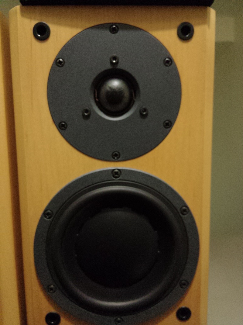 Dynaudio Focus 110 Stand Mount Speakers (Sold) Img20115