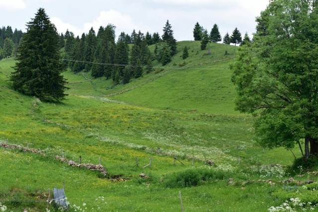 Vacances dans le JURA Dsc_0052