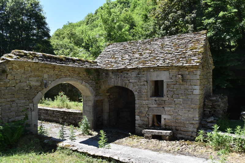 Vacances dans le JURA Dsc_0129