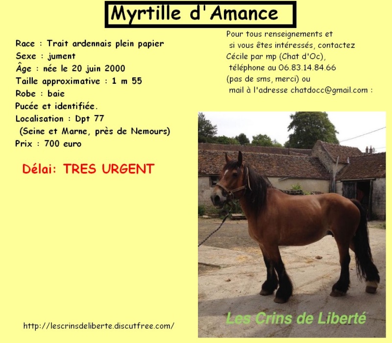 Dpt 77, Myrtille, ardennaise de 15 ans, sauvée par Günther et Elke (Août 2015) Les_cr27