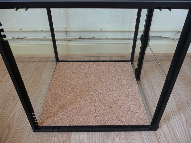 Isoler un terrarium en verre P1170514