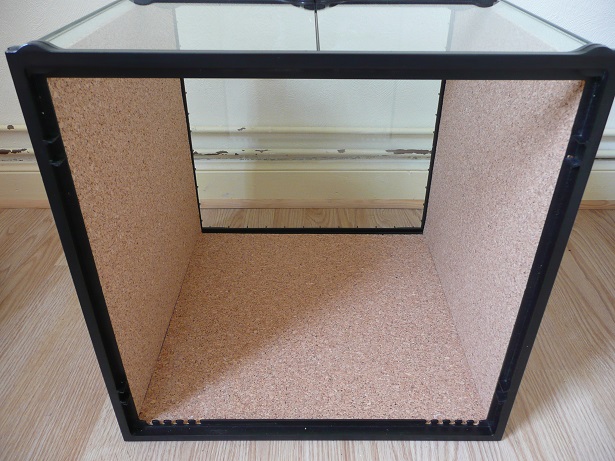 Isoler un terrarium en verre P1170610