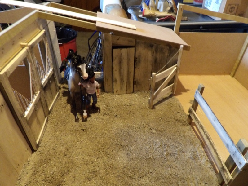 les chevaux de l’écurie Du vieux porche, bienvenue dans ce refuge miniature - Page 3 Imgp0212