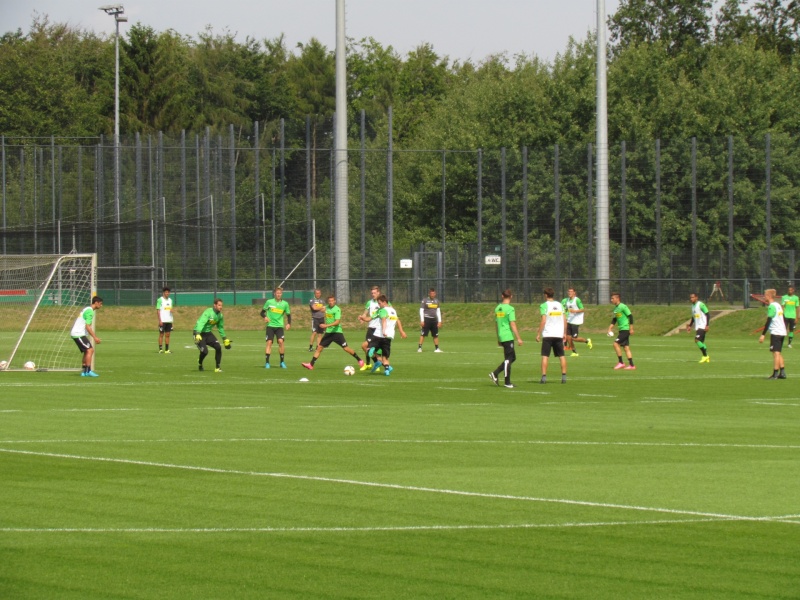 Erstes Training mit Nico Schulz - Trainingsbericht vom 19.08.2015 Img_9528